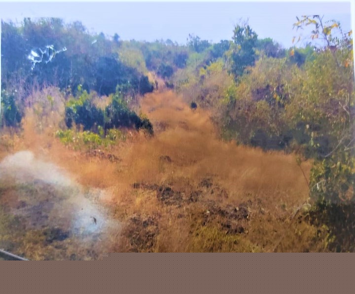 Union Bank of India Auctions for Residential property in Kasaragod, Kerala