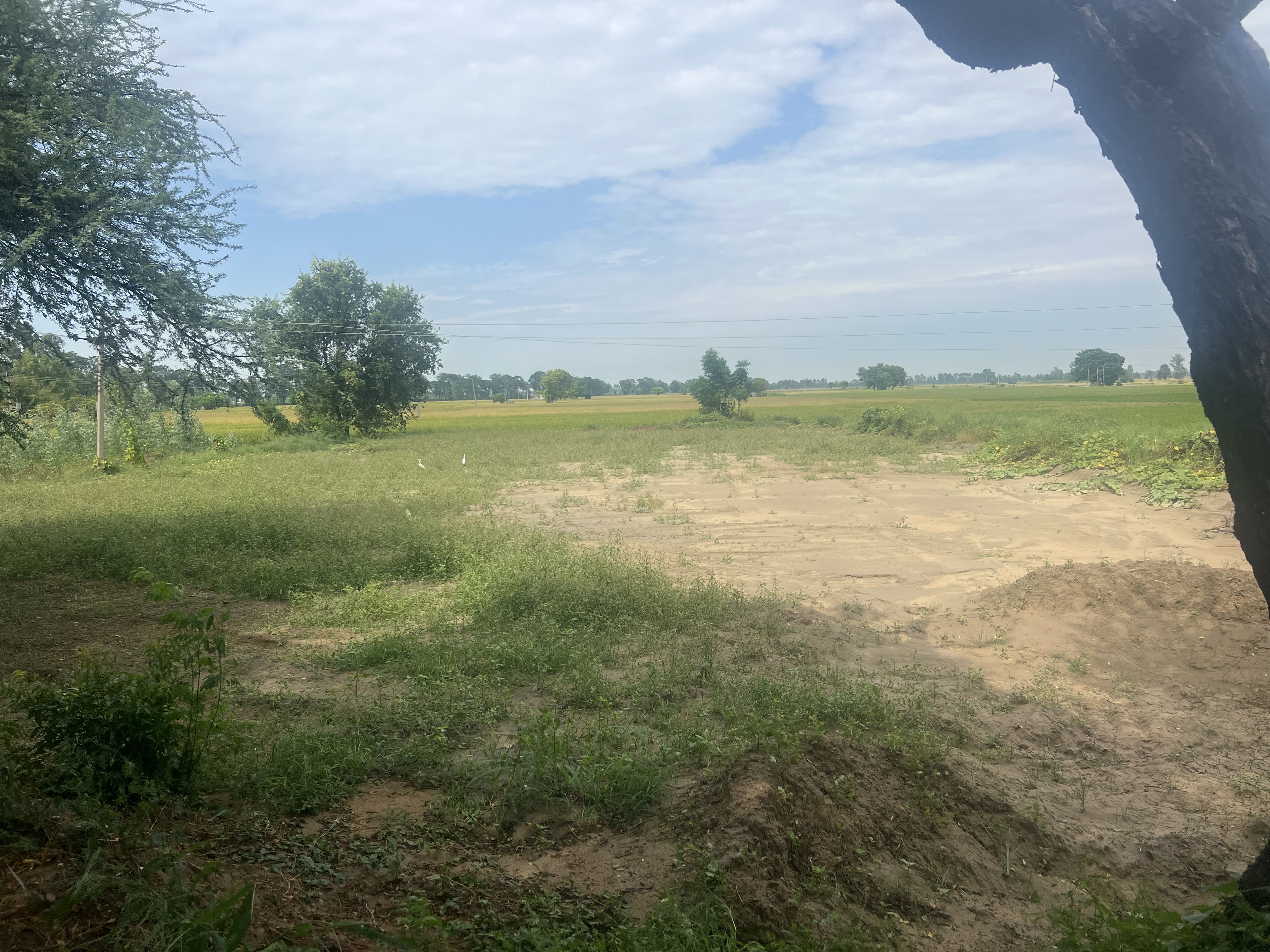 State Bank of India Auctions for Residential property in Mansa, Punjab image 2 of 2 in Budhlada, Mansa | State Bank of India auction property