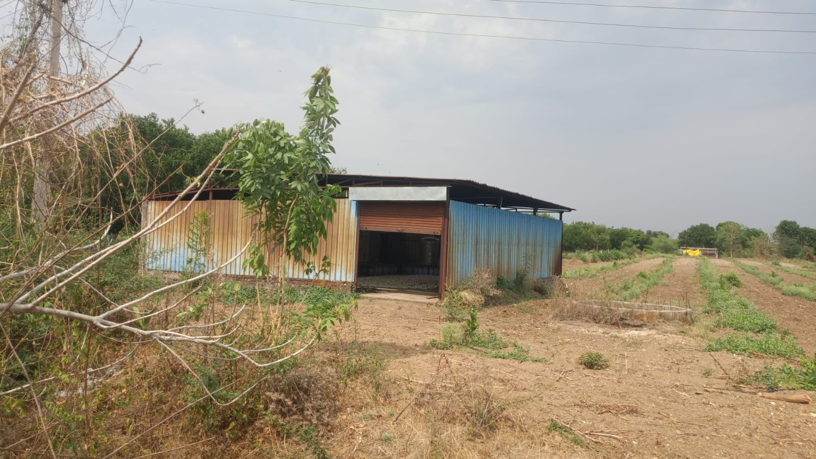 Bank of Baroda Auctions for Industrials property in Amravati, Maharashtra