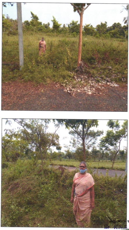 Union Bank of India Auctions for Residential property in Srikakulam, Andhra Pradesh