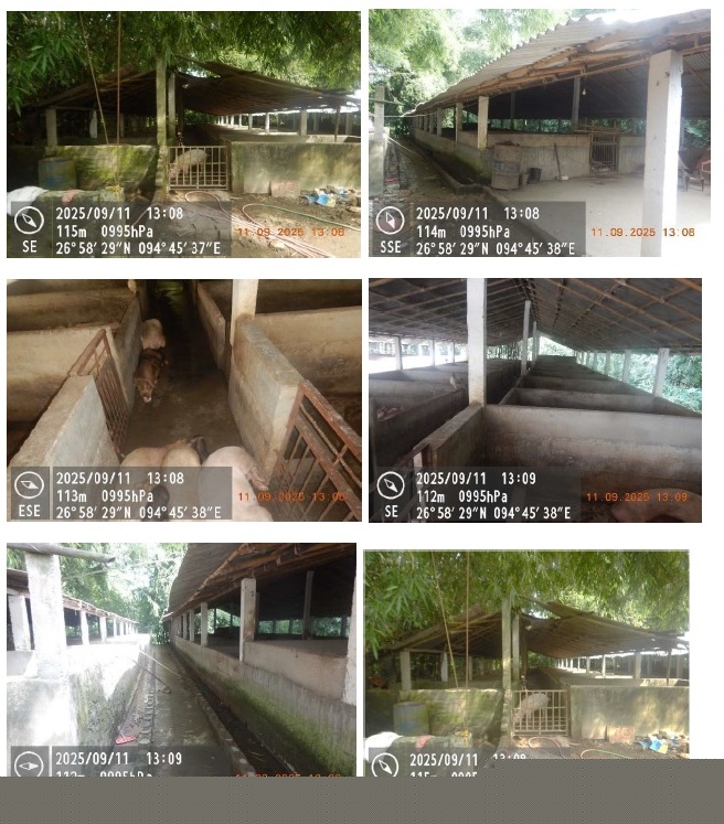 Canara Bank Auctions for Residential property in Sivasagar, Assam