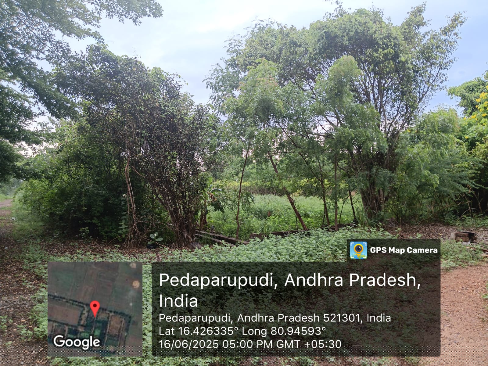 Canara Bank Auctions for Residential property in Krishna, Andhra Pradesh image 3 of 4 in Gudivada, Krishna | Canara Bank auction property