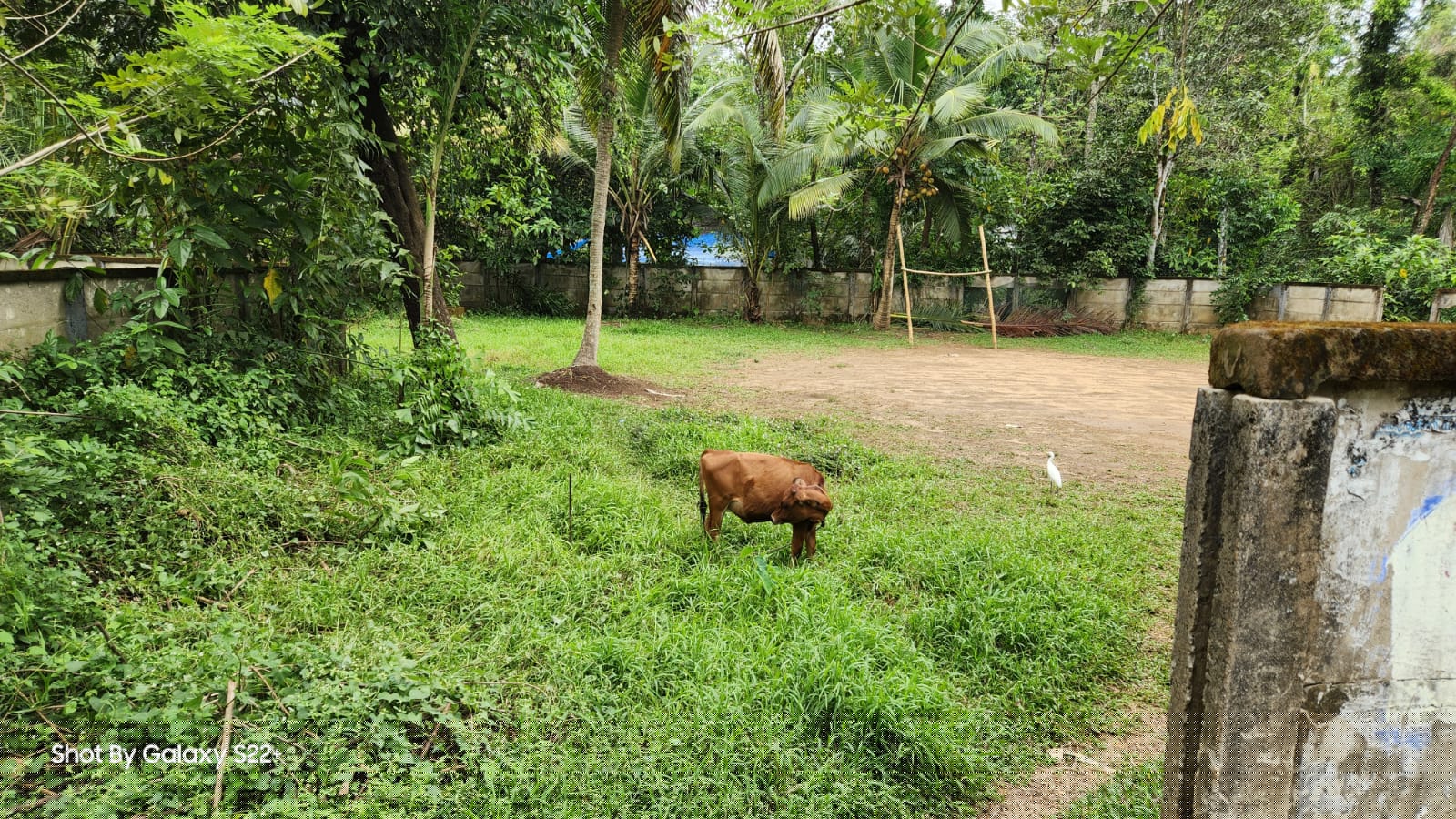 Bank of Baroda Auctions for Residential property in Ernakulam, Kerala image 2 of 4 in Koovappady, Ernakulam | Bank of Baroda auction property