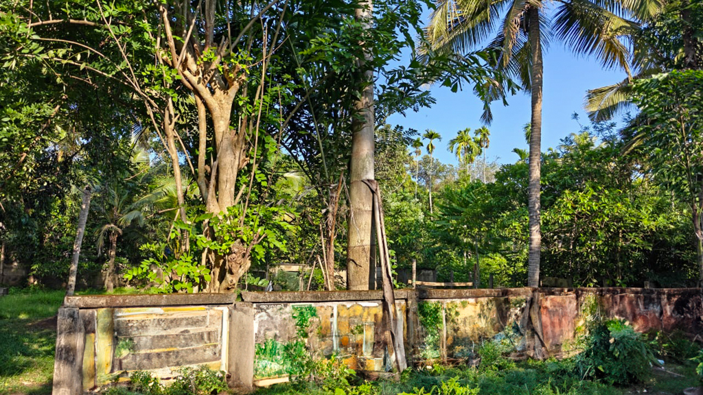 Bank of Baroda Auctions for Residential property in Ernakulam, Kerala image 4 of 4 in Koovappady, Ernakulam | Bank of Baroda auction property