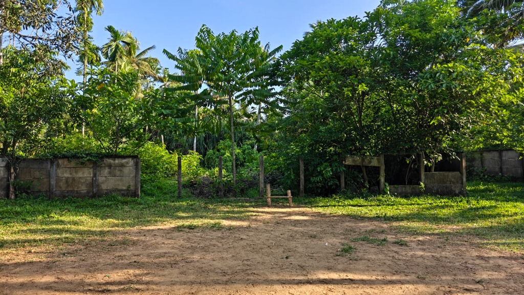 Bank of Baroda Auctions for Residential property in Ernakulam, Kerala