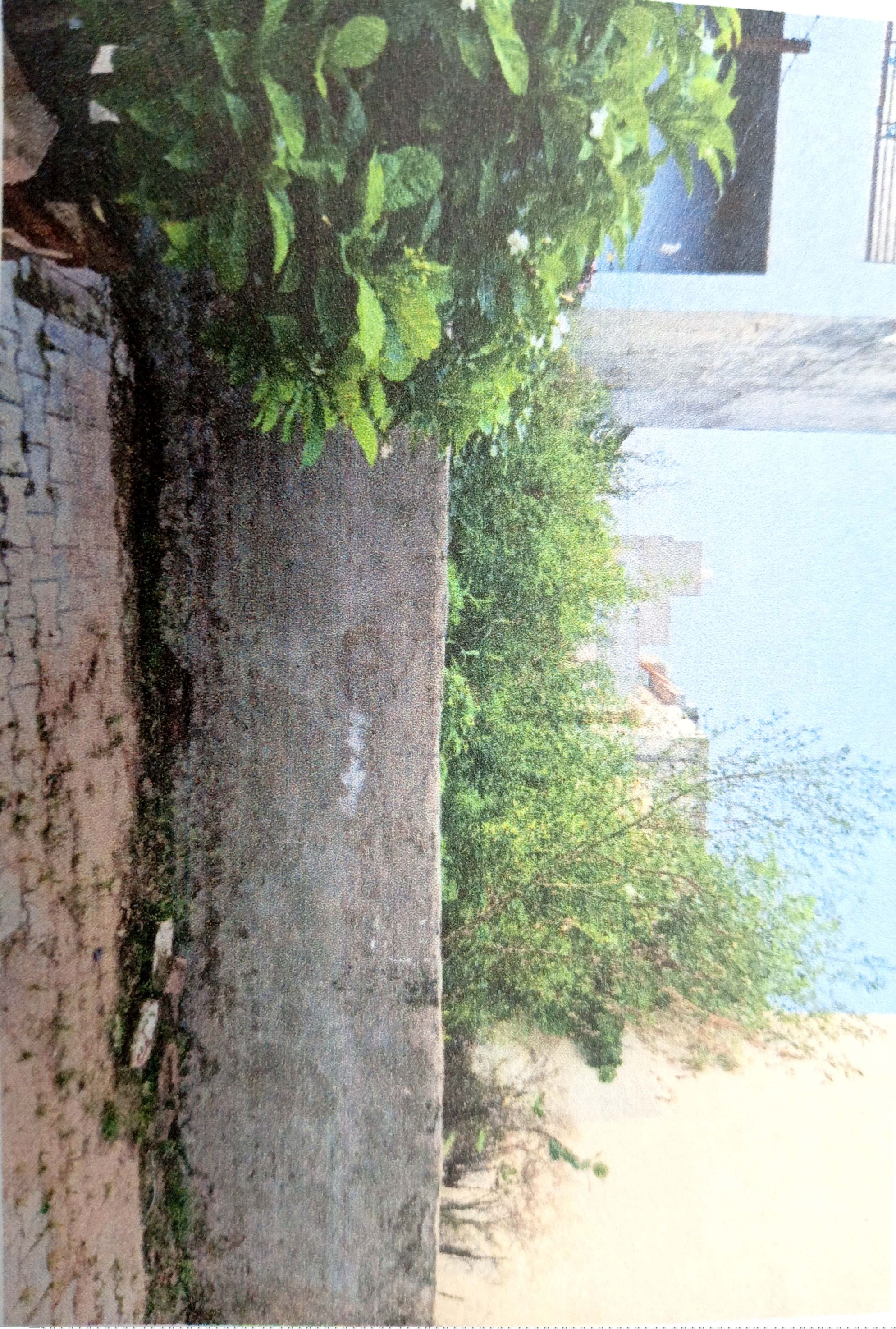 State Bank of India Auctions for Residential property in Rupnagar, Punjab