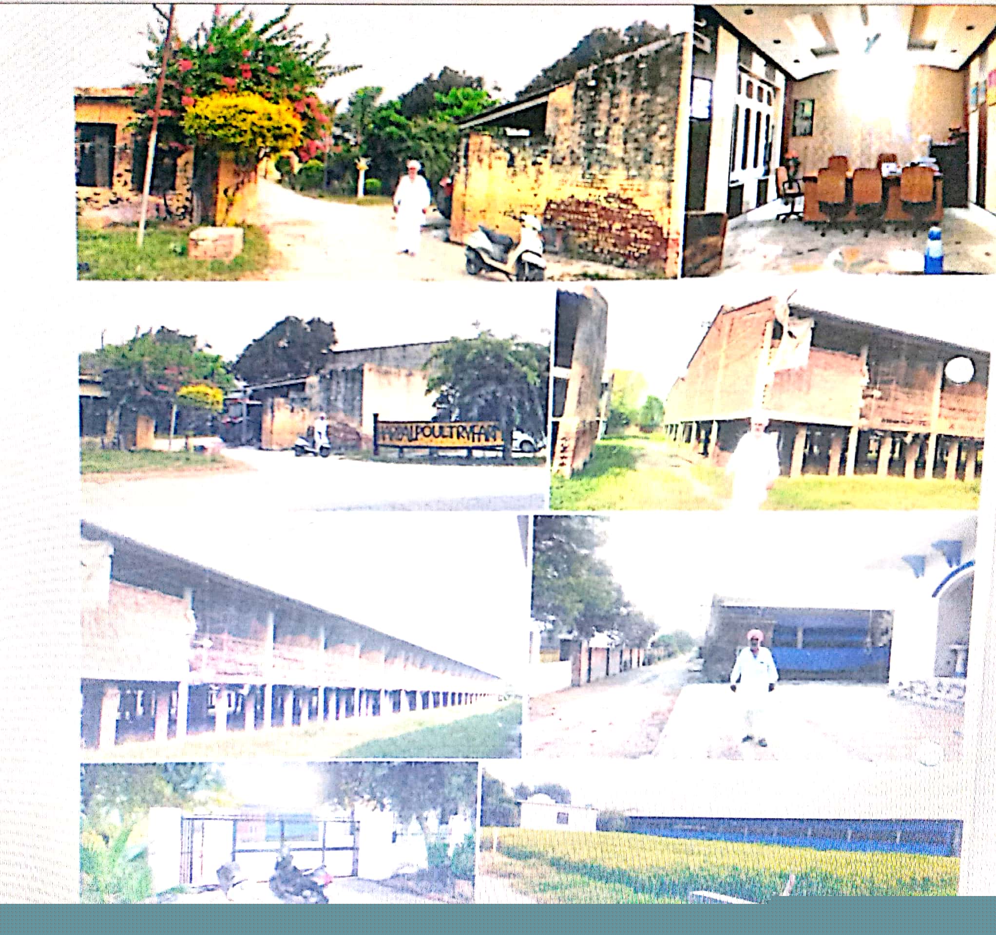 Bank of Baroda Auctions for Agriculture property in Tarn Taran, Punjab