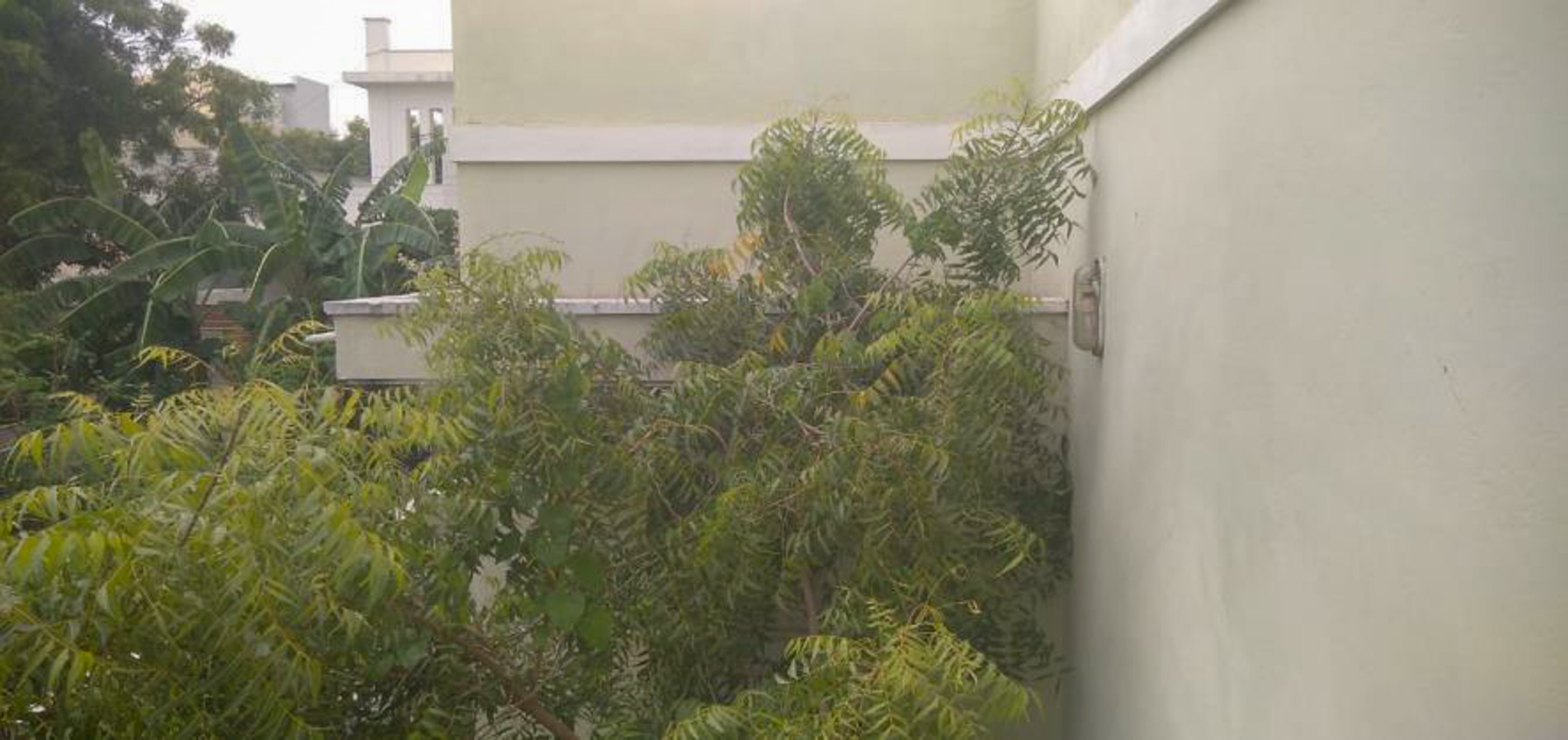 Union Bank of India Auctions for Residential property in Tiruppur, Tamil Nadu image 7 of 15 in Andipalayam, Tiruppur | Union Bank of India auction property