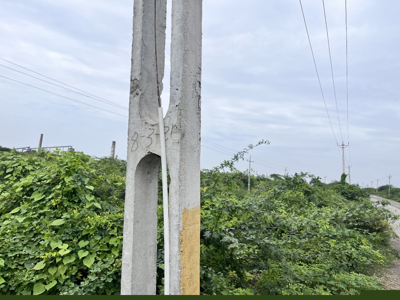 Bank of Baroda Auctions for Residential property in Amreli, Gujarat