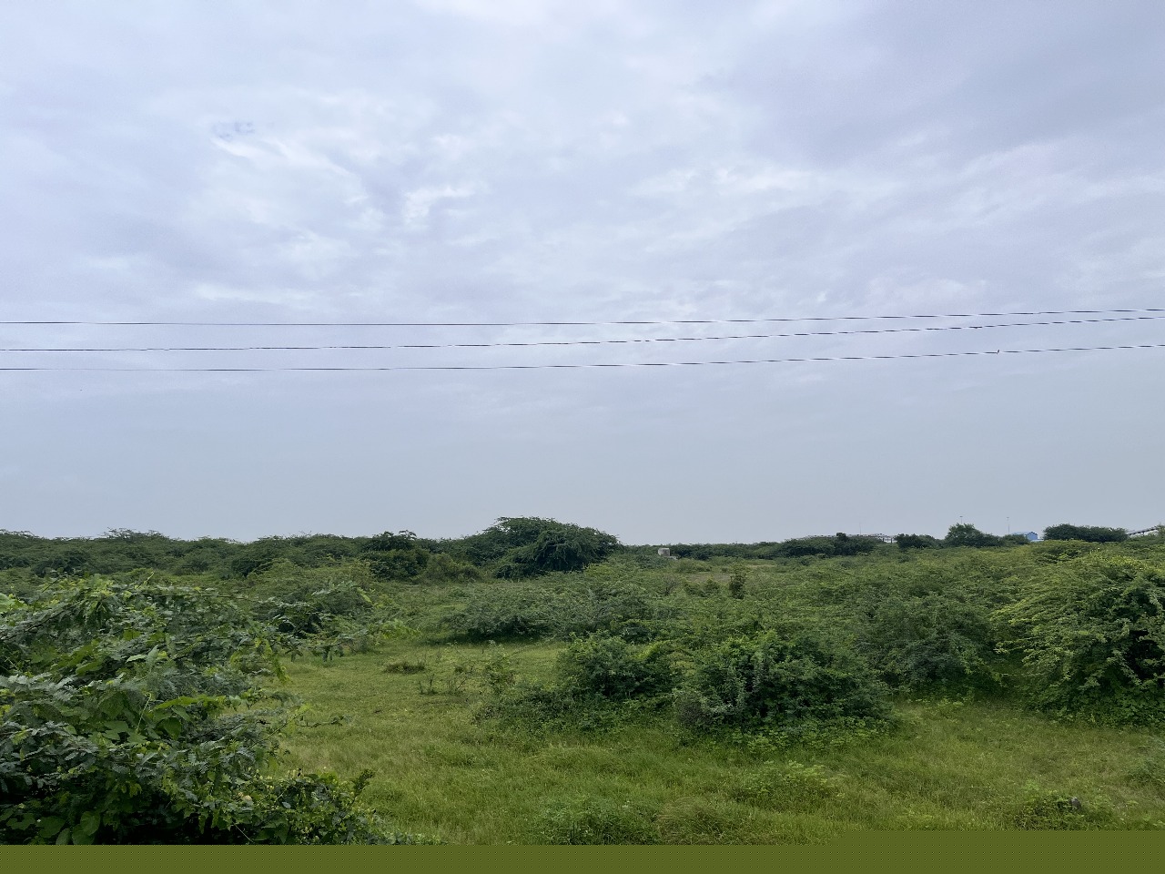 Bank of Baroda Auctions for Residential property in Amreli, Gujarat image 3 of 7 in Amreli, Amreli | Bank of Baroda auction property