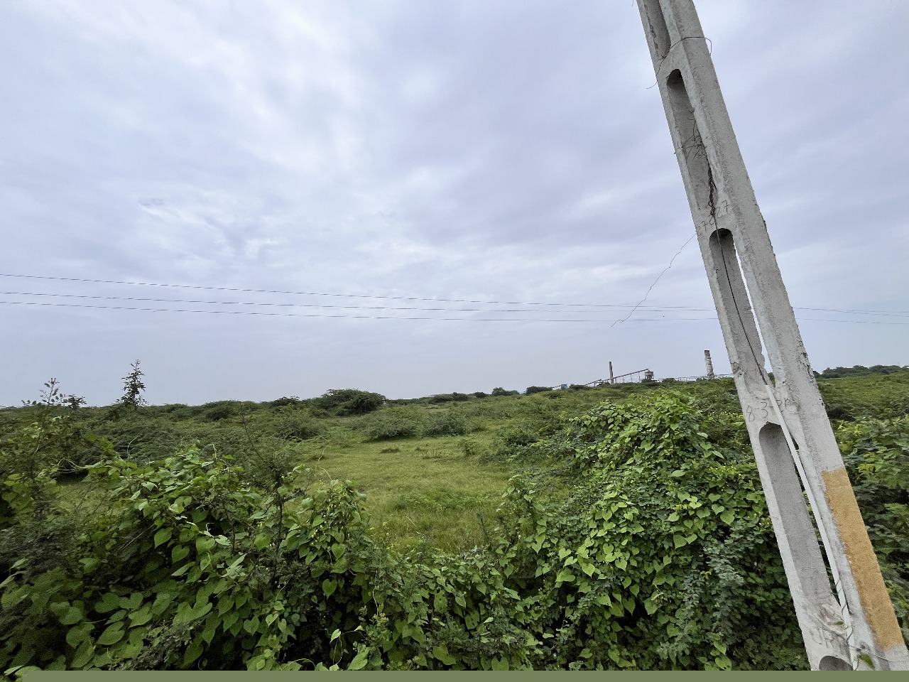 Bank of Baroda Auctions for Residential property in Amreli, Gujarat image 4 of 7 in Amreli, Amreli | Bank of Baroda auction property