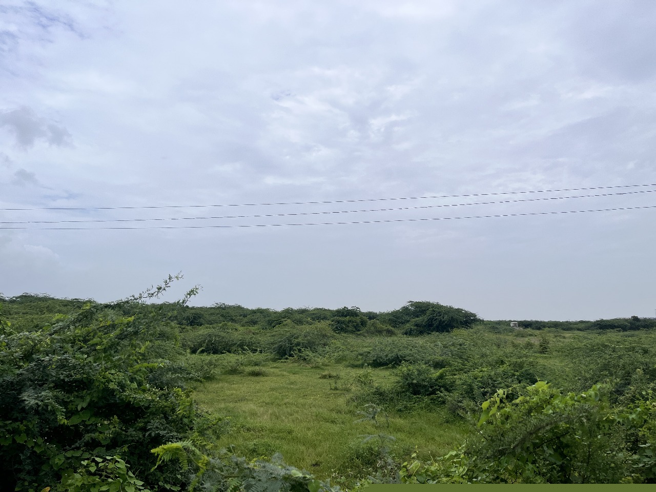 Bank of Baroda Auctions for Residential property in Amreli, Gujarat image 6 of 7 in Amreli, Amreli | Bank of Baroda auction property