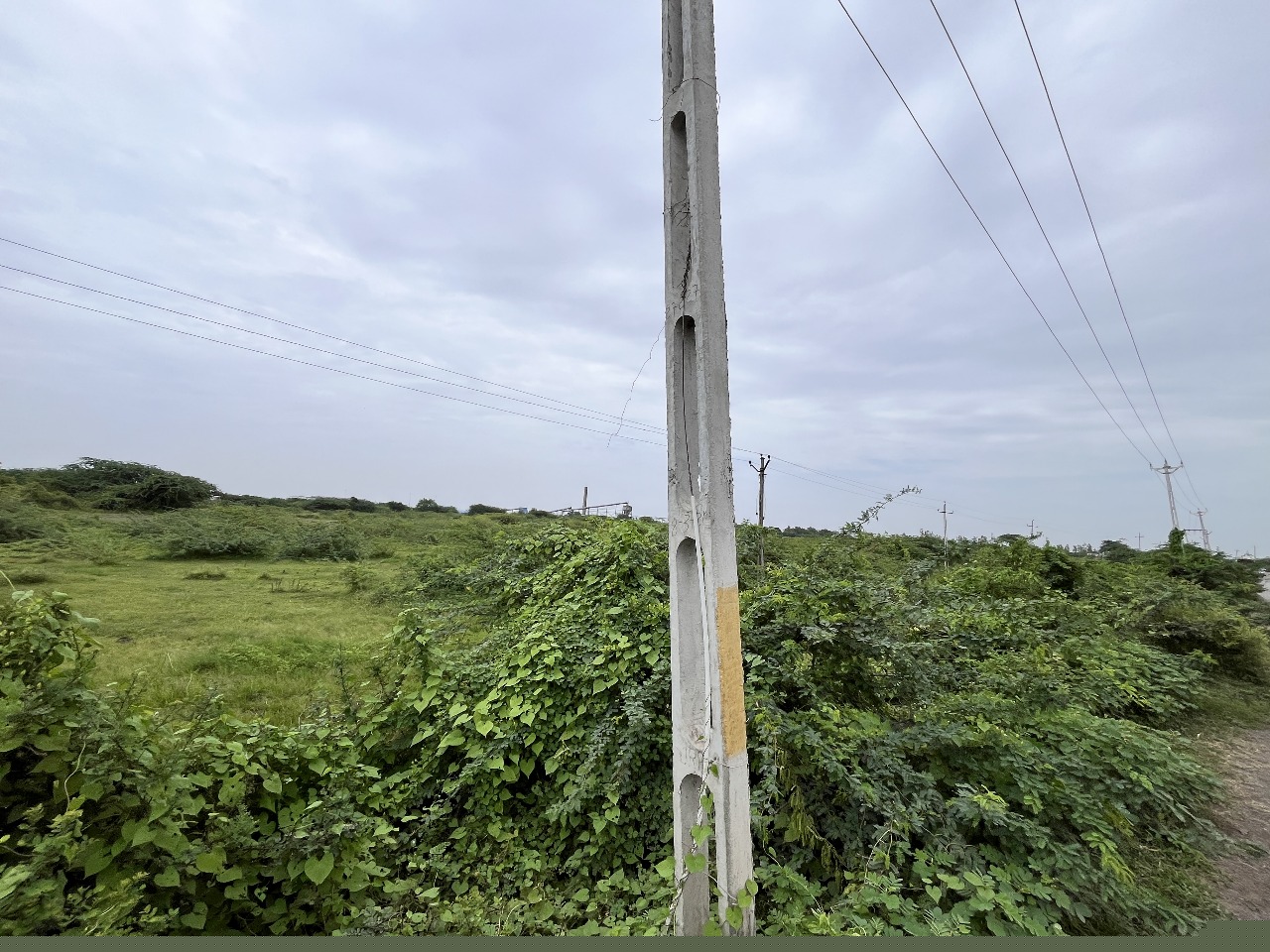 Bank of Baroda Auctions for Residential property in Amreli, Gujarat image 7 of 7 in Amreli, Amreli | Bank of Baroda auction property