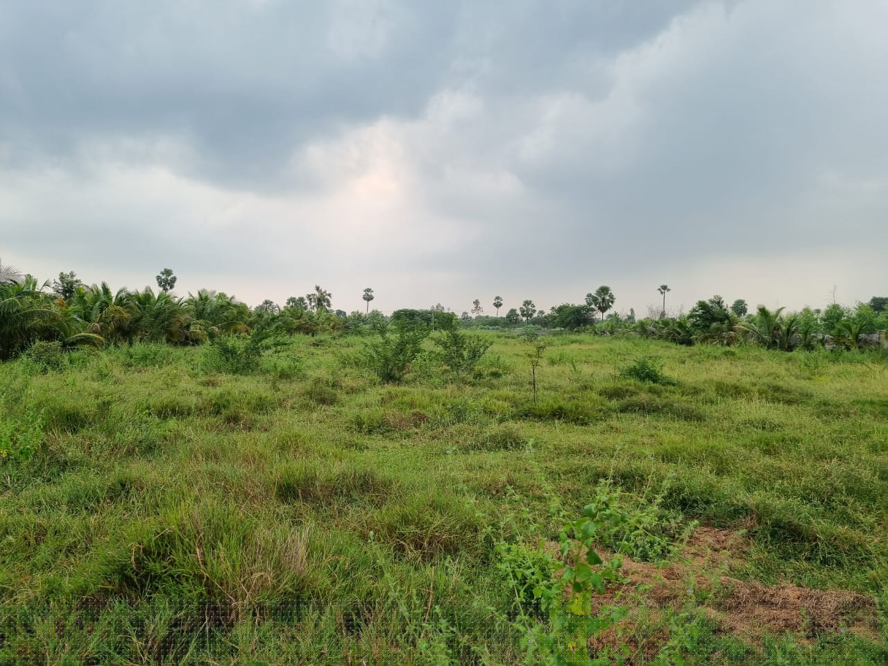 Canara Bank Auctions for Residential property in Yadadri Bhuvanagiri, Telangana image 2 of 2 in Yadagirigutta, Yadadri Bhuvanagiri | Canara Bank auction property