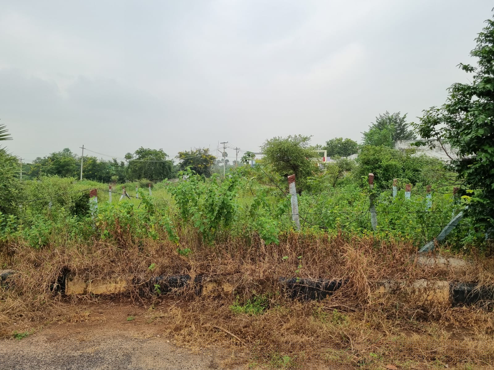 Canara Bank Auctions for Residential property in Yadadri Bhuvanagiri, Telangana