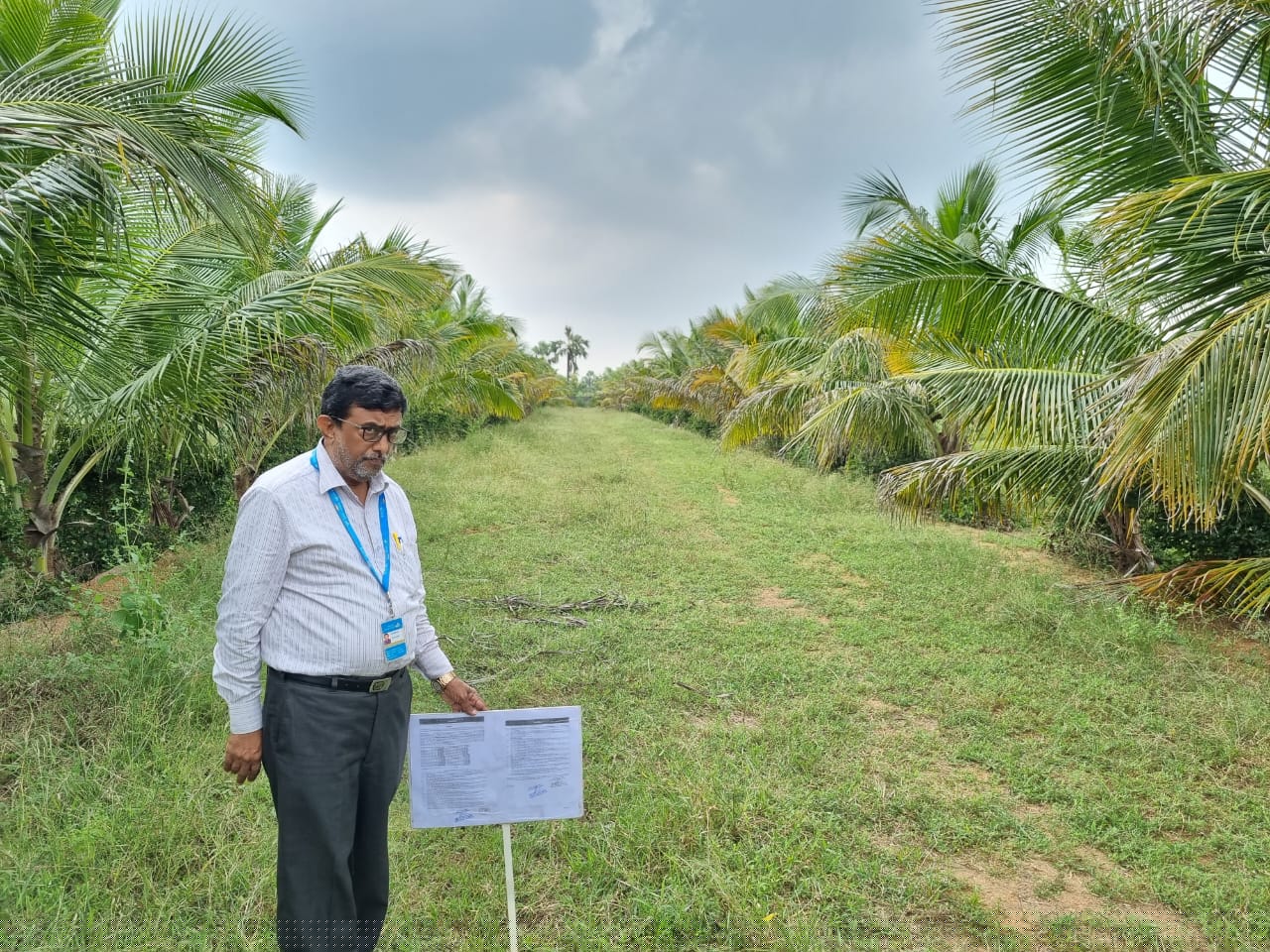 Canara Bank Auctions for Residential property in Yadadri Bhuvanagiri, Telangana image 2 of 2 in Yadagirigutta, Yadadri Bhuvanagiri | Canara Bank auction property