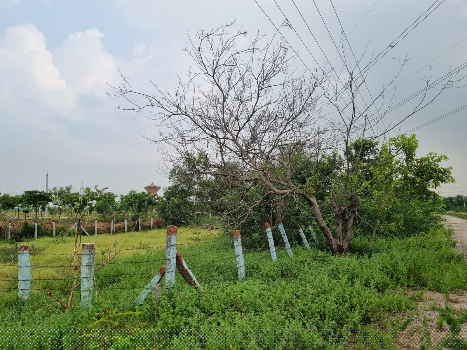 Canara Bank Auctions for Residential property in Yadadri Bhuvanagiri, Telangana