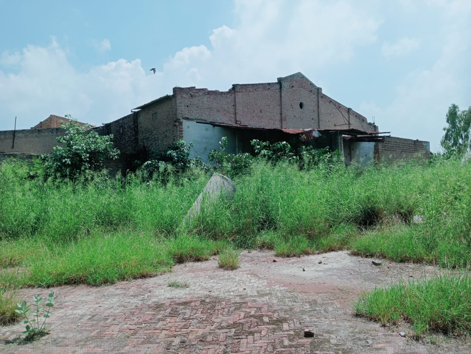 State Bank of India Auctions for Industrials property in Fazilka, Punjab