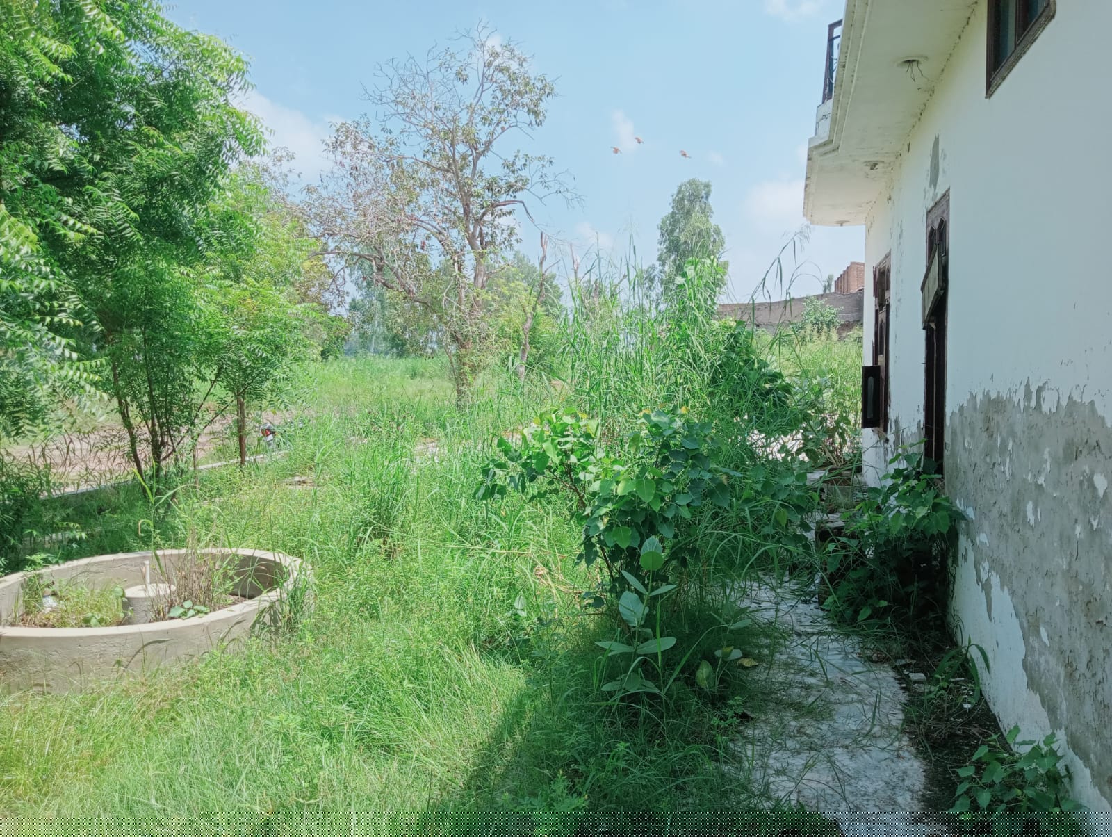 State Bank of India Auctions for Industrials property in Fazilka, Punjab image 10 of 11 in Jalalabad, Fazilka | State Bank of India auction property