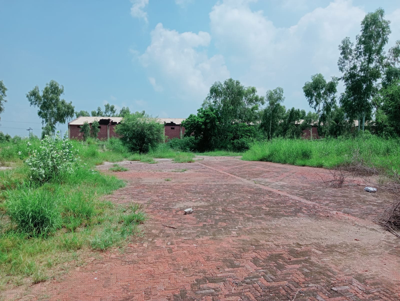 State Bank of India Auctions for Industrials property in Fazilka, Punjab image 11 of 11 in Jalalabad, Fazilka | State Bank of India auction property