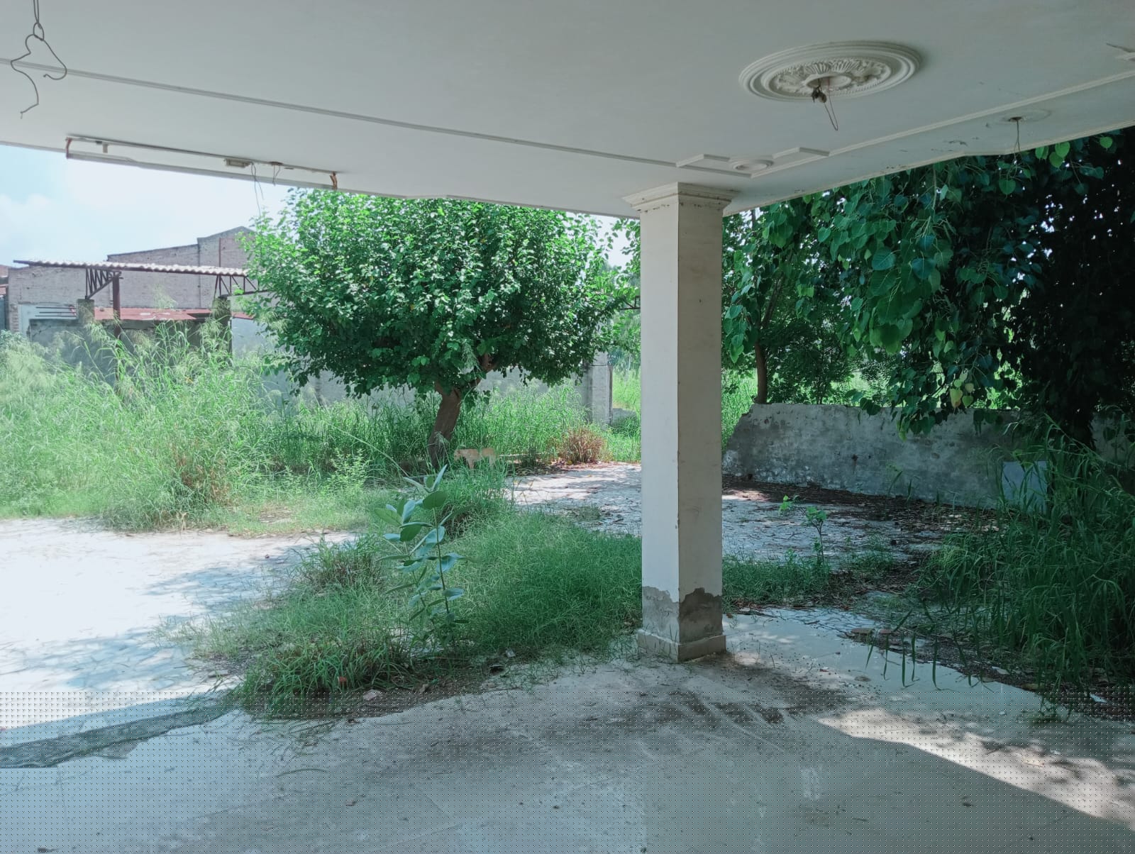 State Bank of India Auctions for Industrials property in Fazilka, Punjab image 6 of 11 in Jalalabad, Fazilka | State Bank of India auction property