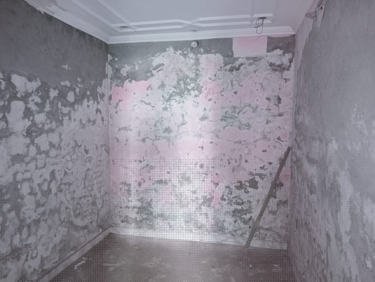 State Bank of India Auctions for Residential property in Fazilka, Punjab image 19 of 21 in Jalalabad, Fazilka | State Bank of India auction property