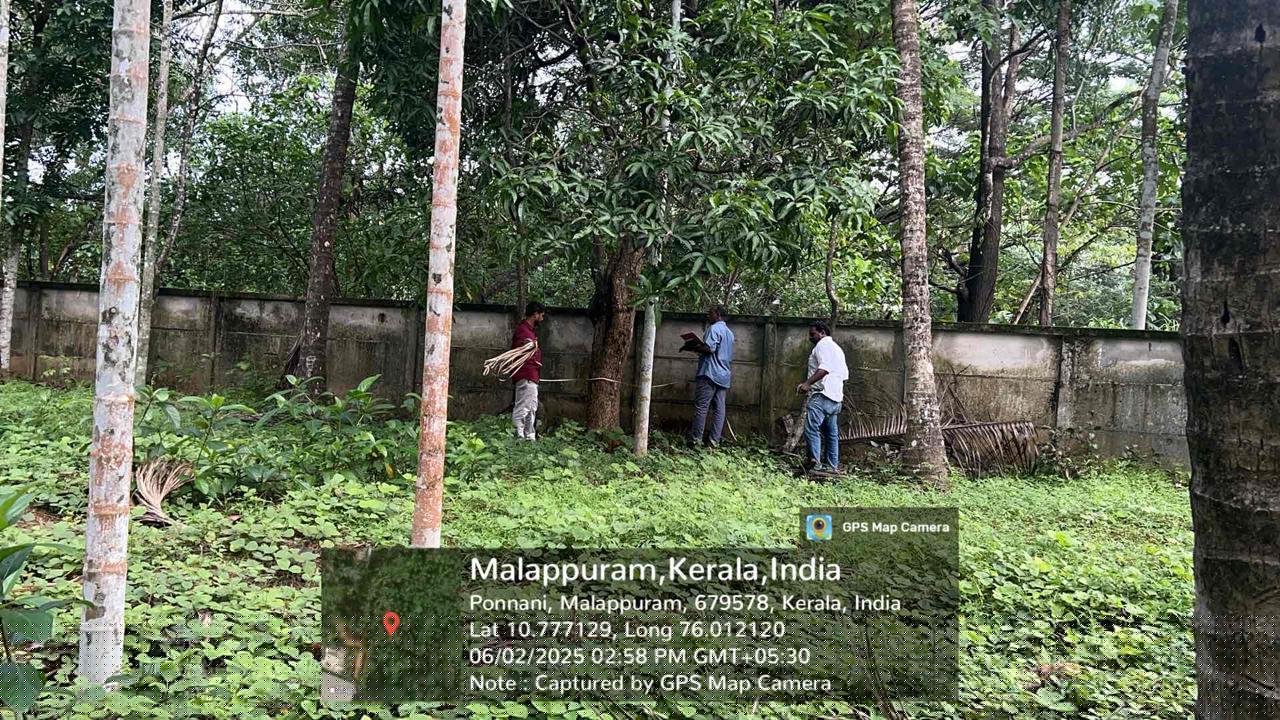 Bank of Baroda Auctions for Residential property in Malappuram, Kerala image 5 of 5 in Kalady Malappuram, Malappuram | Bank of Baroda auction property