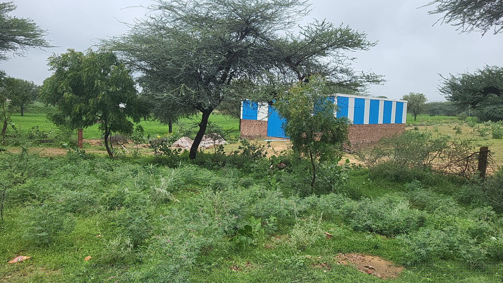 Punjab National Bank Auctions for Industrials property in Churu, Rajasthan