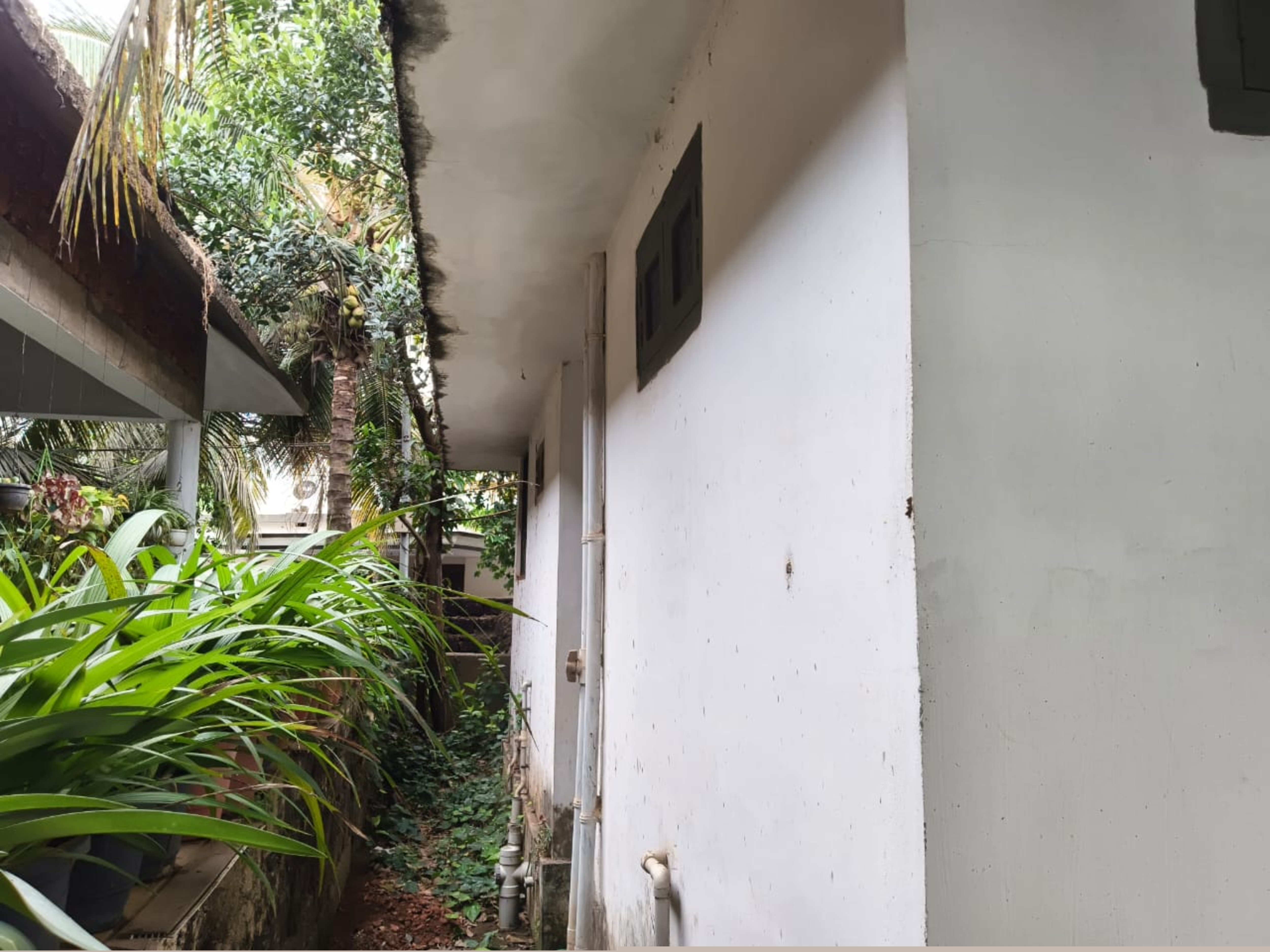 Punjab National Bank Auctions for Residential property in Kasaragod, Kerala image 4 of 4 in Kanhangad, Kasaragod | Punjab National Bank auction property