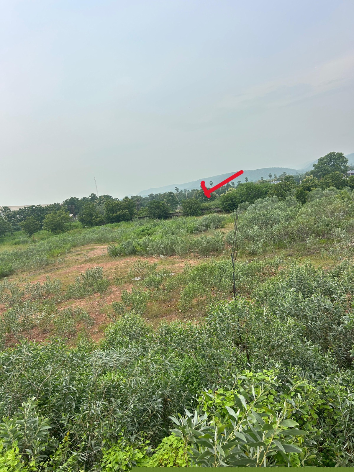 Bank of Baroda Auctions for Industrials property in Krishna, Andhra Pradesh