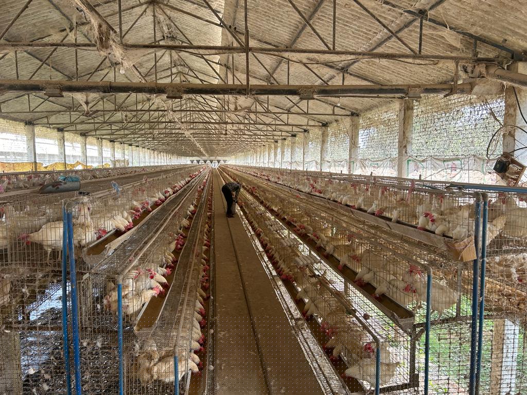 State Bank of India Auctions for Industrials property in Eluru, Andhra Pradesh