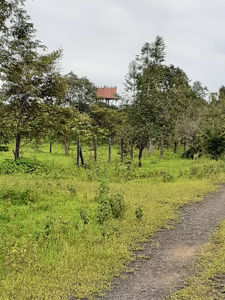 Central Bank of India Auctions for Residential property in Pune, Maharashtra image 3 of 3 in Wada, Pune | Central Bank of India auction property