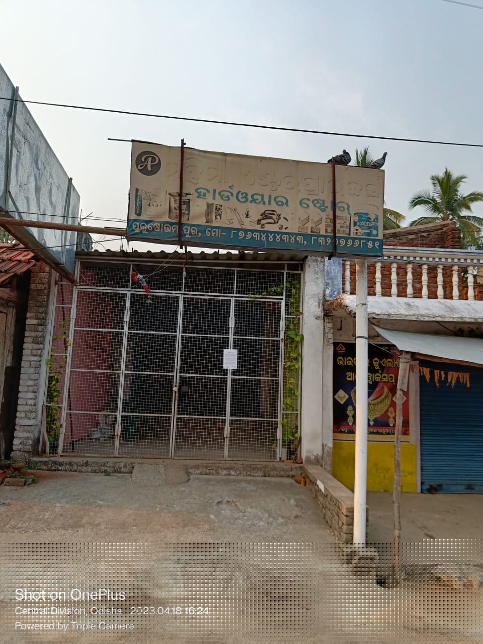 Indian Bank Auctions for Residential property in Nayagarh, Odisha