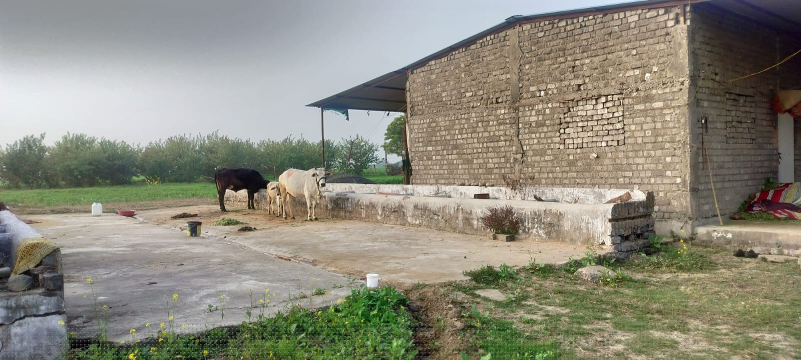 Punjab National Bank Auctions for Commercial property in Vidisha, Madhya Pradesh