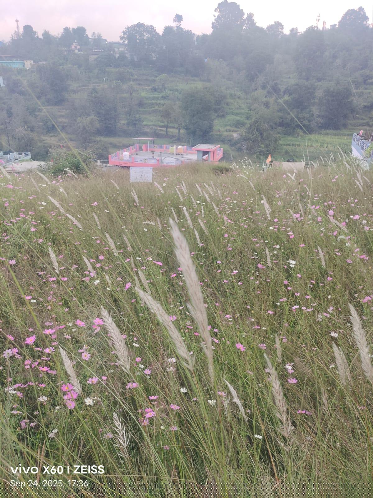 UCO Bank Auctions for Residential property in Champawat, Uttarakhand