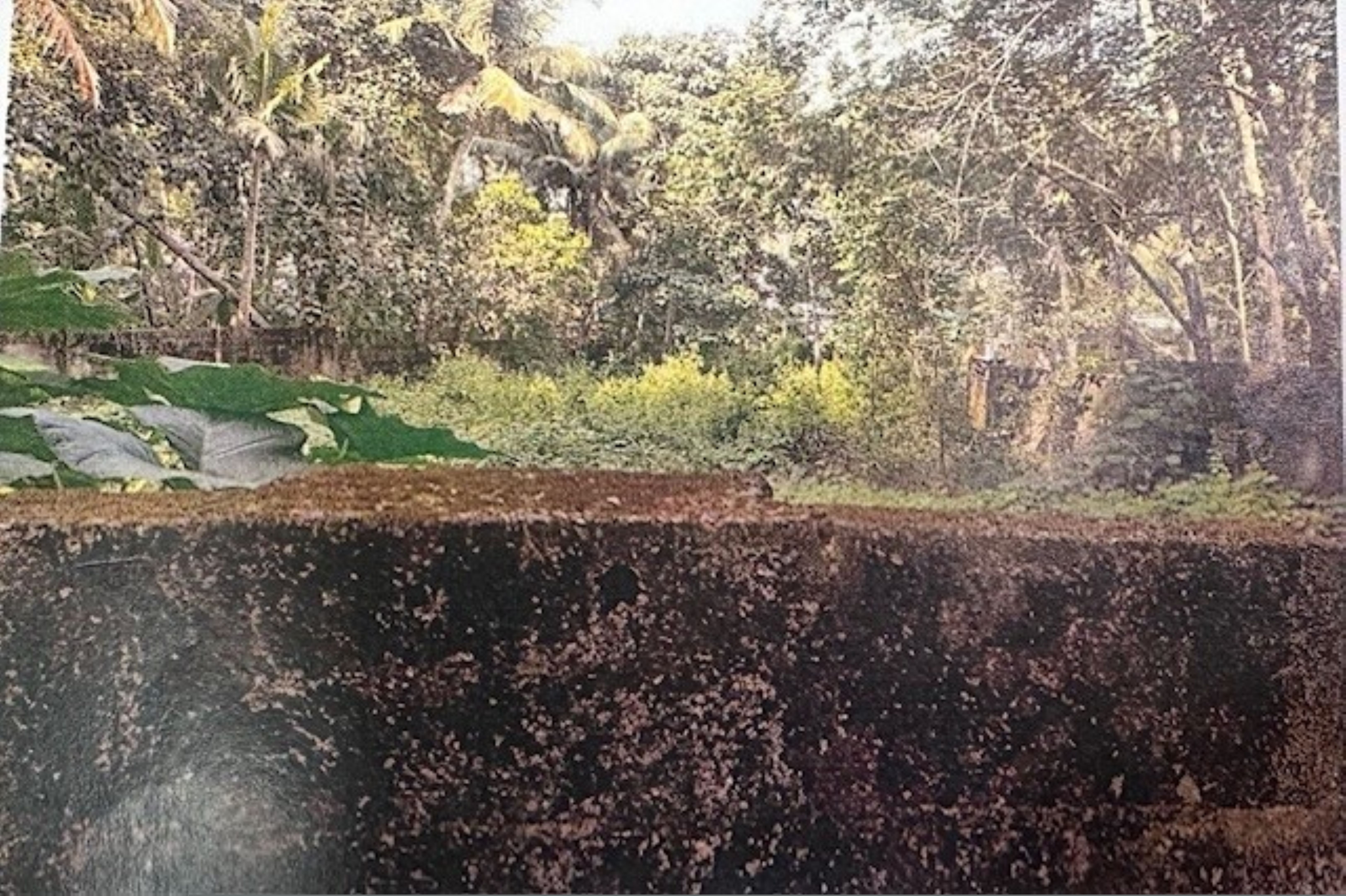 Punjab National Bank Auctions for Residential property in Trivandrum, Kerala