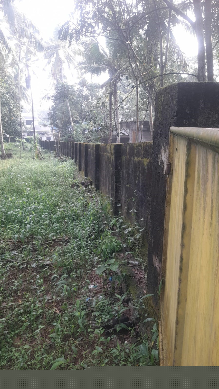 Punjab National Bank Auctions for Residential property in Trivandrum, Kerala image 10 of 13 in Thiruvananthapuram, Trivandrum | Punjab National Bank auction property