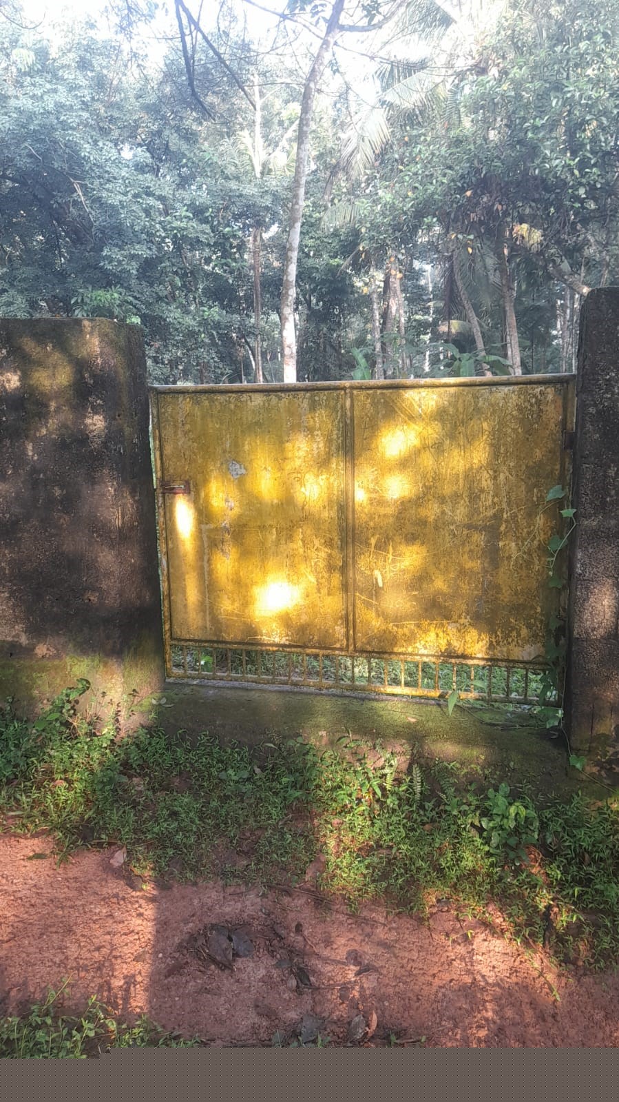 Punjab National Bank Auctions for Residential property in Trivandrum, Kerala image 12 of 13 in Thiruvananthapuram, Trivandrum | Punjab National Bank auction property