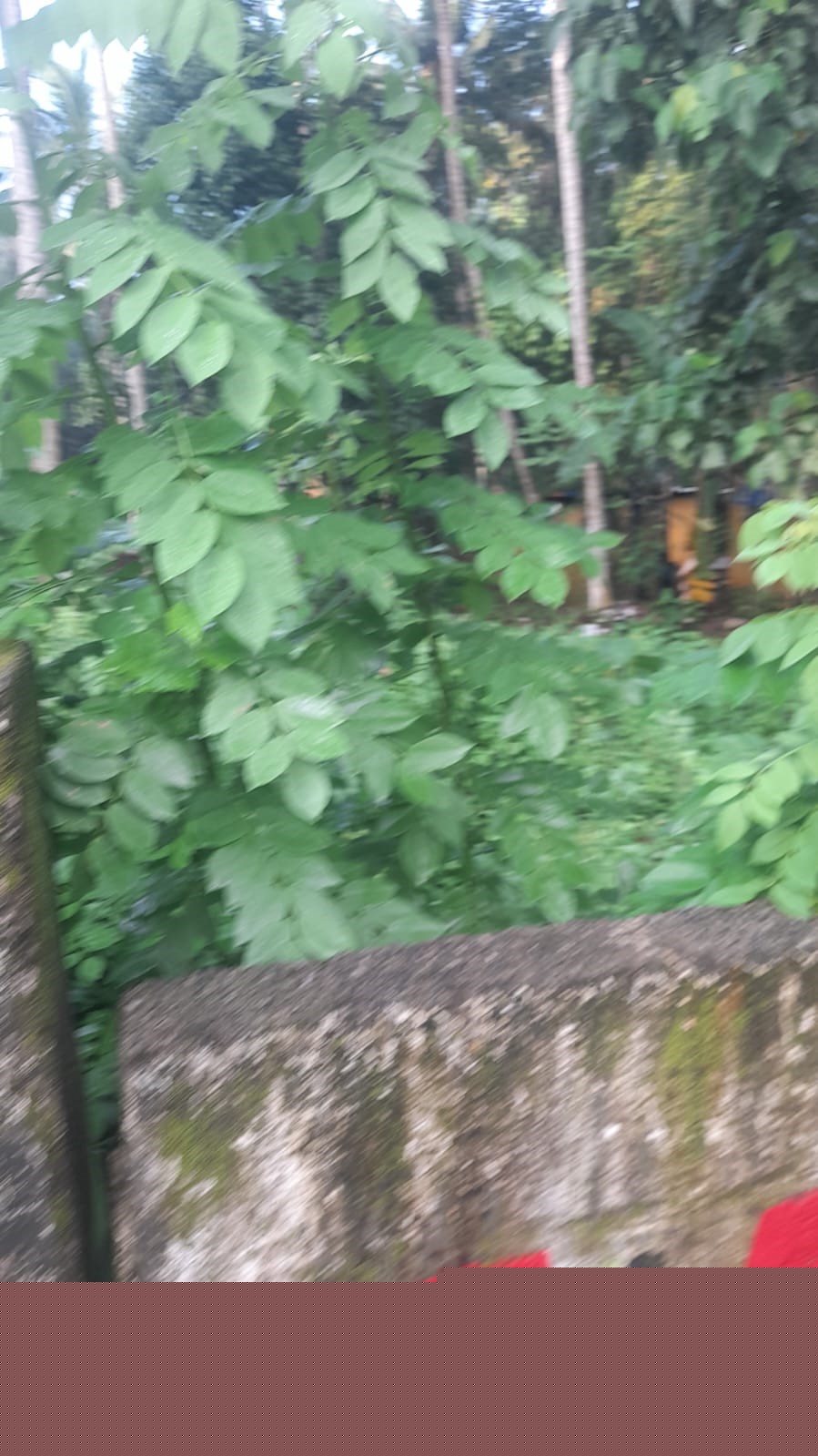 Punjab National Bank Auctions for Residential property in Trivandrum, Kerala image 4 of 13 in Thiruvananthapuram, Trivandrum | Punjab National Bank auction property