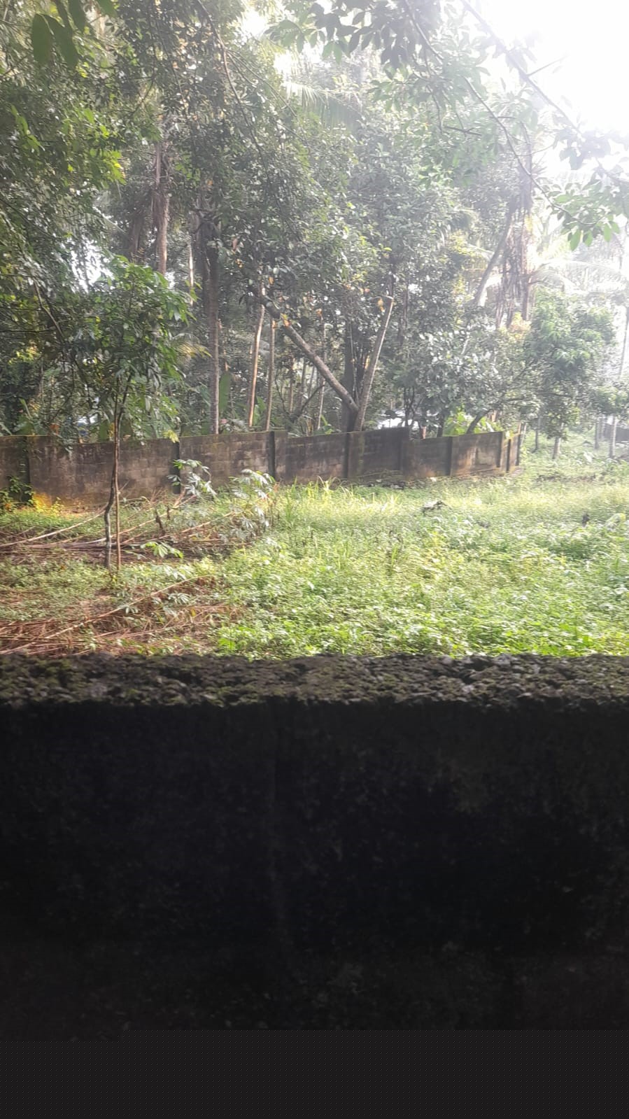 Punjab National Bank Auctions for Residential property in Trivandrum, Kerala image 7 of 13 in Thiruvananthapuram, Trivandrum | Punjab National Bank auction property