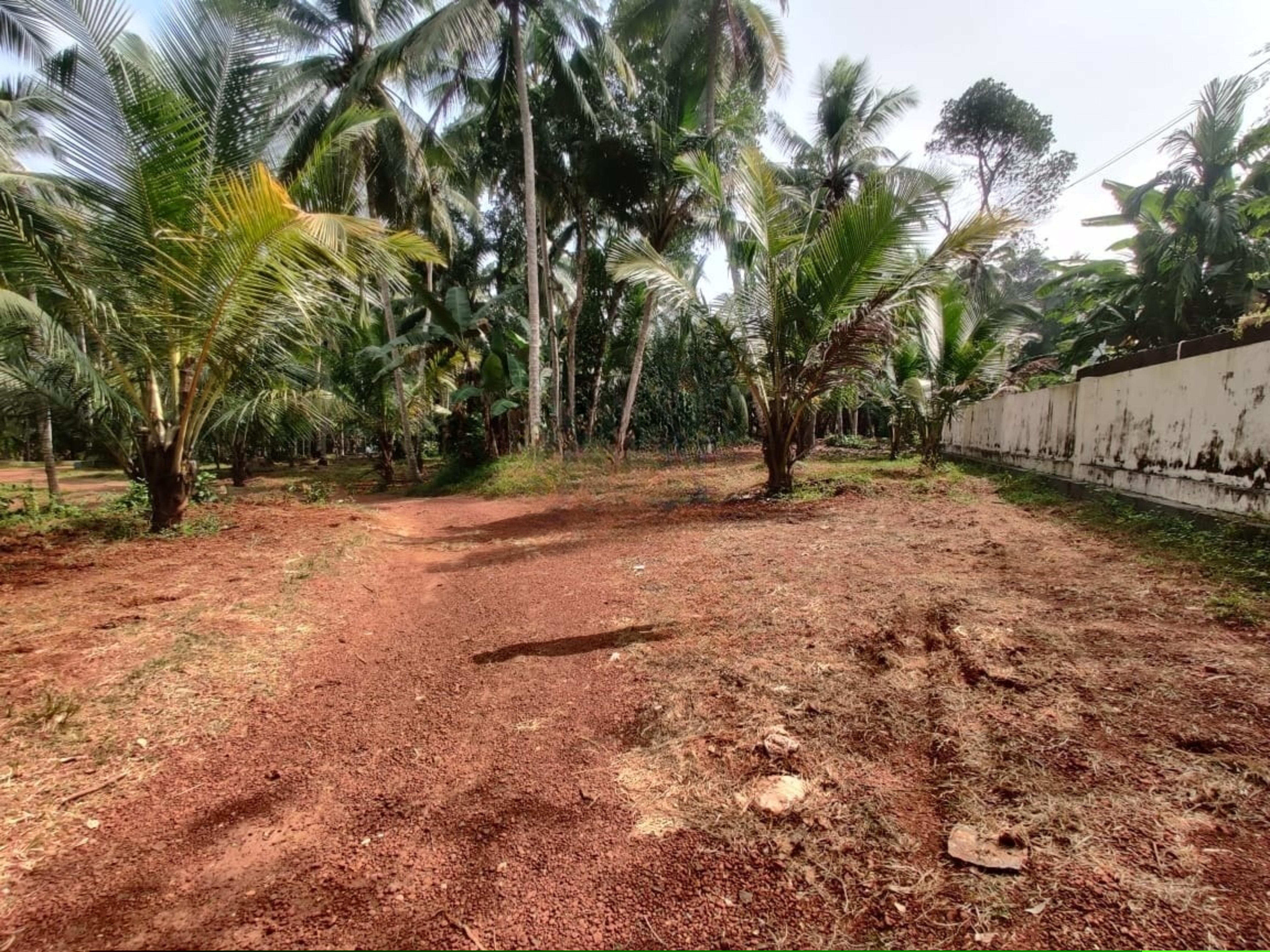 Punjab National Bank Auctions for Residential property in Malappuram, Kerala image 4 of 5 in Ariyallur, Malappuram | Punjab National Bank auction property