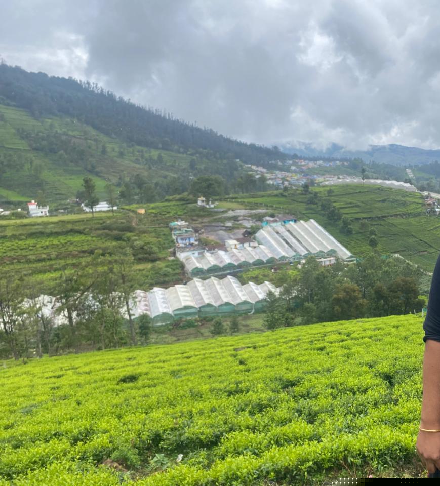 Canara Bank Auctions for Residential property in Nilgiris, Tamil Nadu