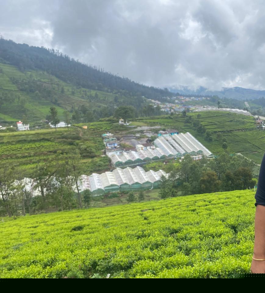 Canara Bank Auctions for Residential property in Nilgiris, Tamil Nadu