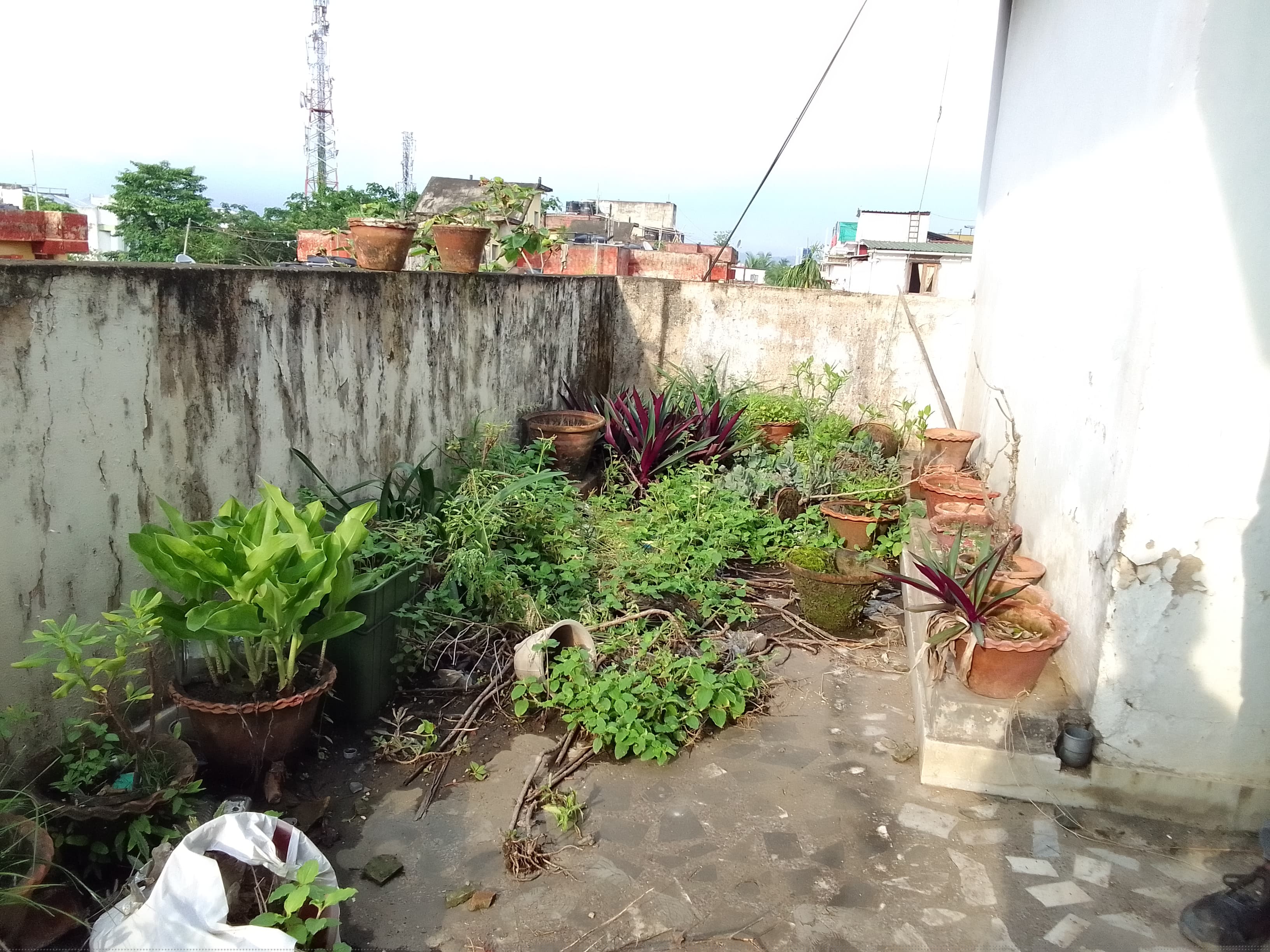 Bank of Baroda Auctions for Residential property in Kamrup, Assam image 12 of 13 in Guwahati, Kamrup | Bank of Baroda auction property