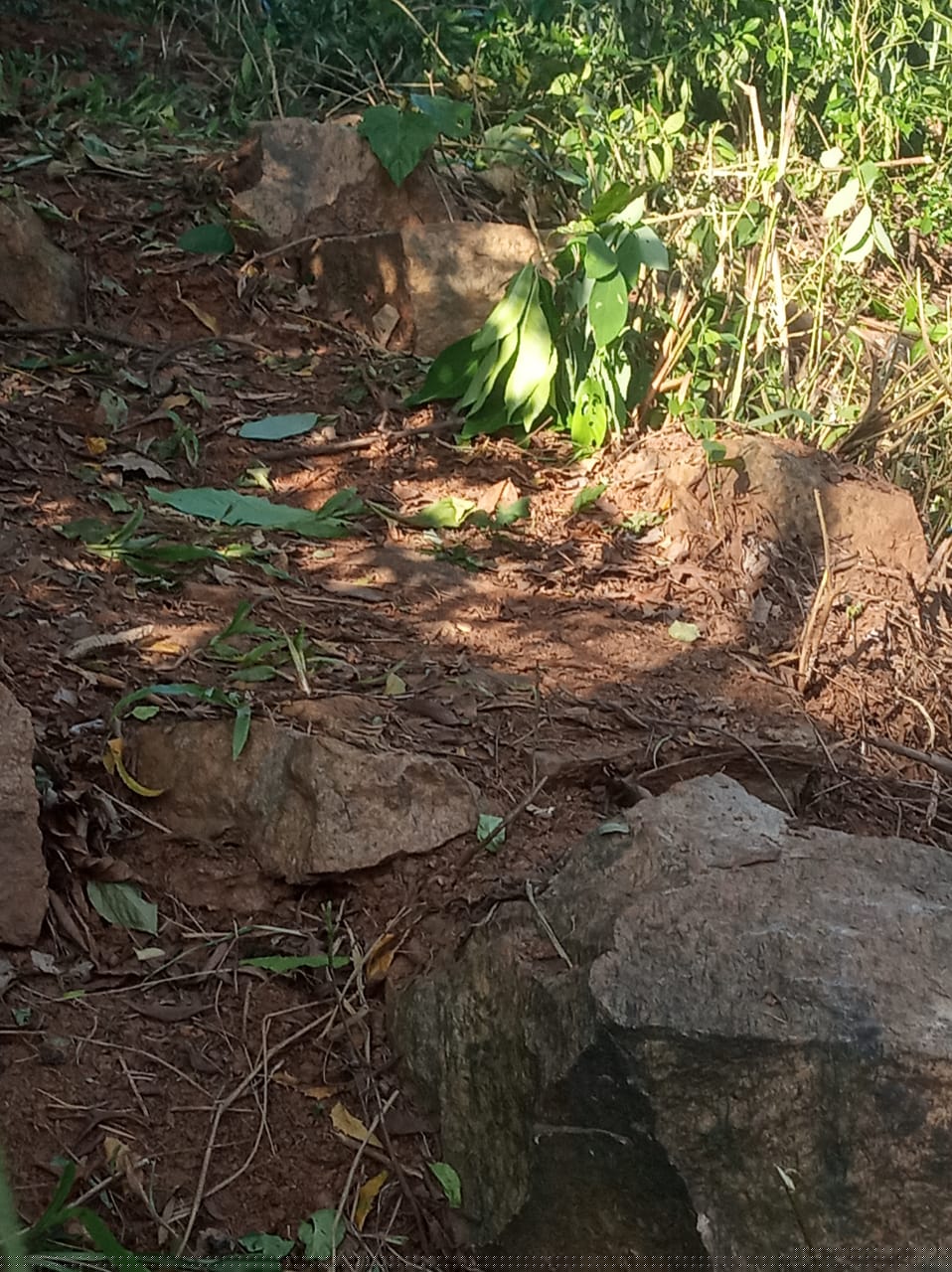 Bank of Baroda Auctions for Residential property in Kamrup, Assam image 3 of 10 in Guwahati, Kamrup | Bank of Baroda auction property