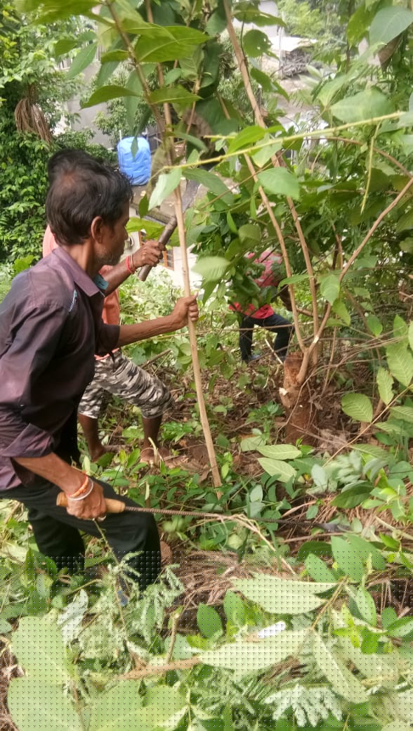 Bank of Baroda Auctions for Residential property in Kamrup, Assam image 6 of 10 in Guwahati, Kamrup | Bank of Baroda auction property