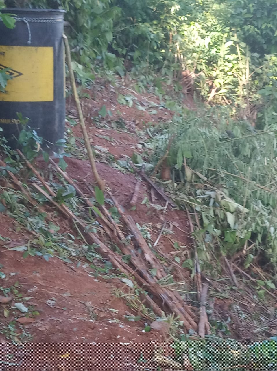 Bank of Baroda Auctions for Residential property in Kamrup, Assam image 8 of 10 in Guwahati, Kamrup | Bank of Baroda auction property