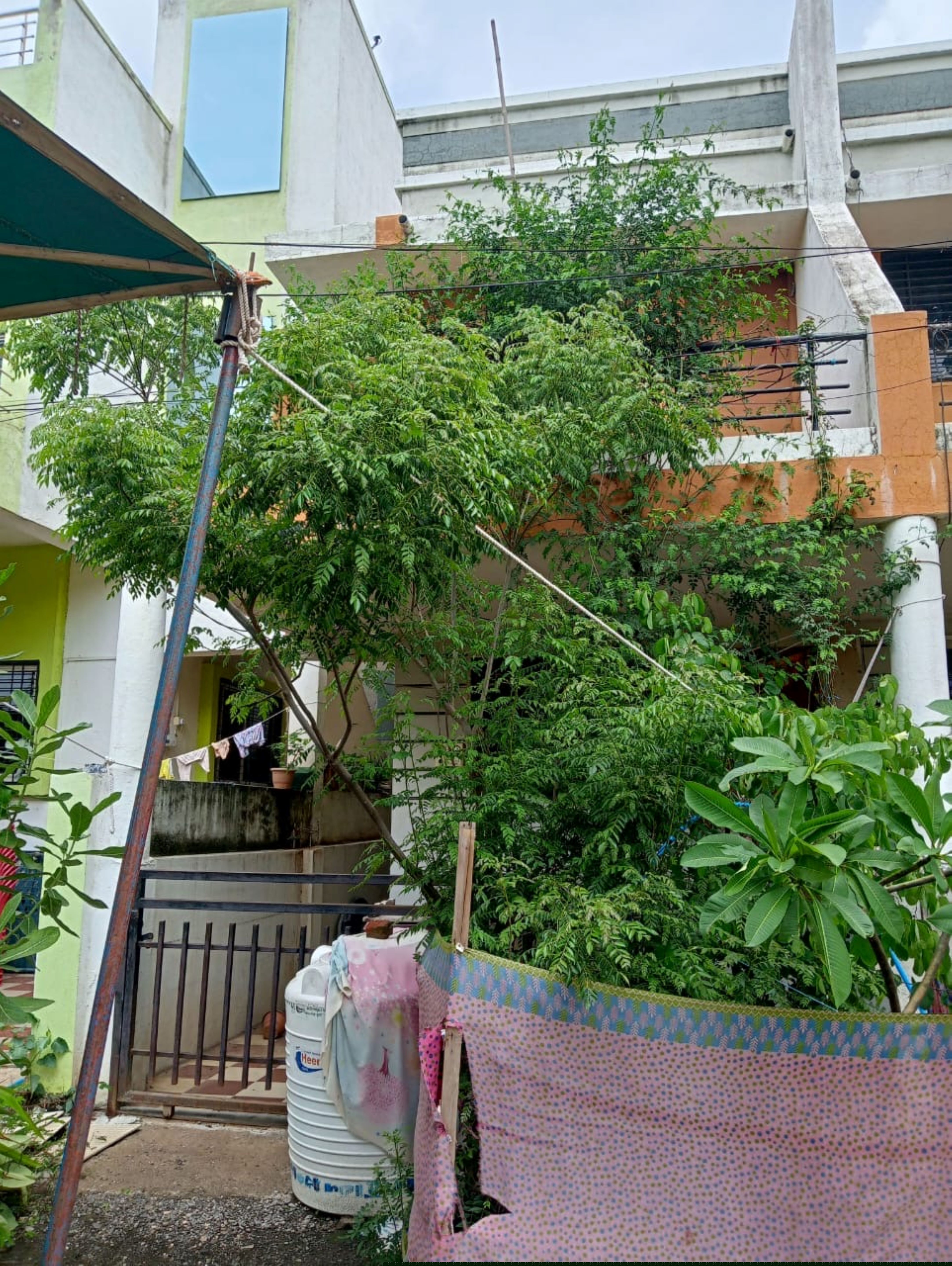 Punjab National Bank Auctions for Residential property in Jalgaon, Maharashtra