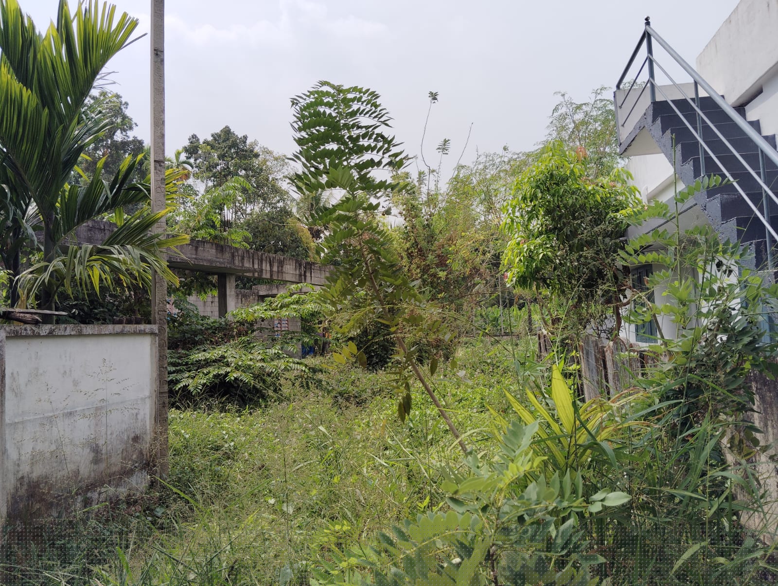 Punjab National Bank Auctions for Residential property in Ernakulam, Kerala image 2 of 2 in Alangad, Ernakulam | Punjab National Bank auction property