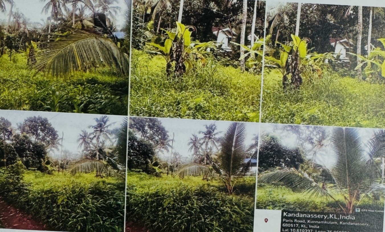 Punjab National Bank Auctions for Residential property in Thrissur, Kerala